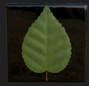 Detail: birch leaf